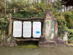-千岛湖东南湖区