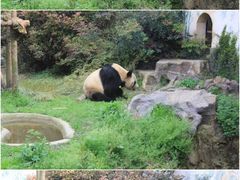 -南昌动物园