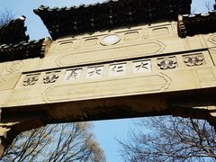 -灵谷景区