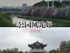 -广东花都湖国家湿地公园