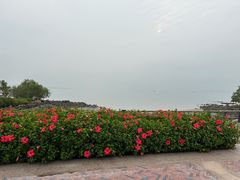 -深圳湾公园(南山区)