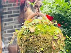 -青城甲(青城山店)