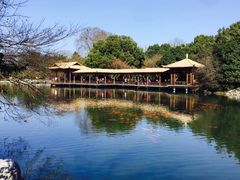 -西湖外事游船(花港观鱼码头)