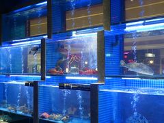水产区-东富酒家(龙湖西溪天街店)