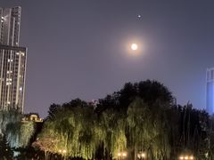 -木塔寺遗址生态公园