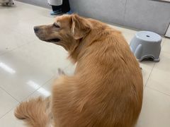 -汪说·狗咖(旺城大厦店)