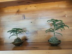 -鸥迪足道(湖南示范店)