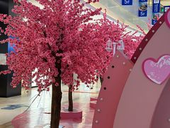 -翠微百货(龙德店)