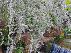-中国茶叶博物馆(双峰馆区)
