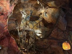 -奥兰多迪士尼动物王国乐园