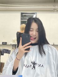 -蚂蚁造型俱乐部