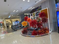 -红星美凯龙北京至尊MALL(东四环中路店)