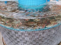 -蓝珊海鲜澳洲和牛自助餐厅