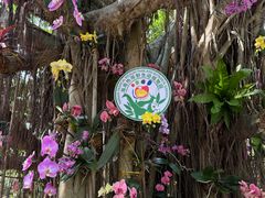 -海南热带野生动植物园