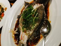 清蒸石斑鱼-泰华海鲜中餐厅(普吉镇店)