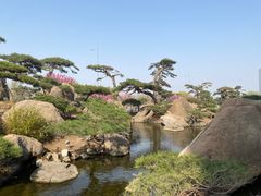 -罗红摄影艺术馆