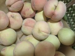 -老袁家蜜桃农场·阳山水蜜桃