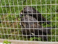 -秦皇岛野生动物园