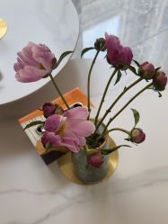 -YESIDO椰岛美容