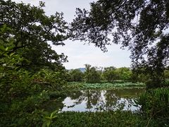 -西溪国家湿地公园