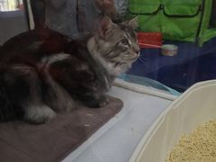 -万隆广场(昆仑大街店)