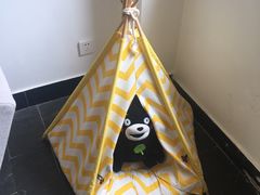-阿狗圆子