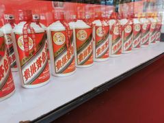 -南宁国际会展中心(会展东博文化旅游区)