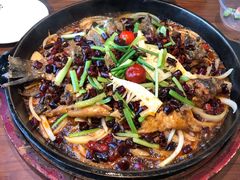 老板恋上鱼-老板恋上鱼(高新万达店)