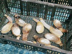 -王记新汕头肠粉炖汤