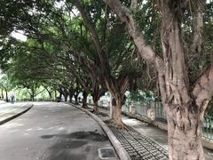 -成都市活水公园