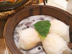 -香港新曜记茶餐厅(星耀城店)