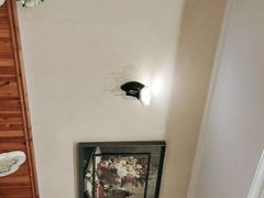 -朝郡酒家·粤菜(燕大星苑店)