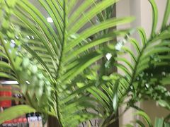 -梁溪河畔·吉府花园(南长街南下塘店)