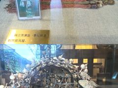 -梅园