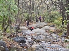 -云岫谷游猎自然风景区