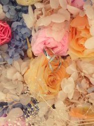 -钻石小鸟钻戒婚戒定制(石路店)