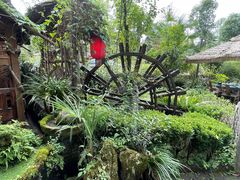 -青城甲(青城山店)