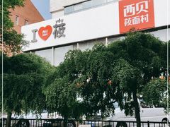 -西贝莜面村(双井店)