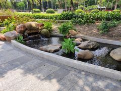 -金砂公园