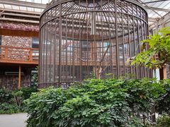 -南宫五洲植物乐园