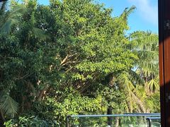 -亚龙湾喜来登·美景台大堂吧