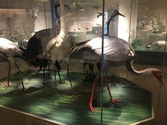 -南通博物苑-崇川人民公园