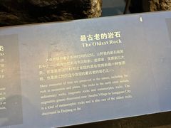 -浙江自然博物院(杭州馆)