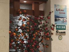 -诺筵汤品·菌汤火锅(南河坝店)