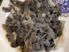 鲜毛肚-福寿斋·老北京铜锅涮肉·烤鸭(顺义总店)
