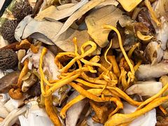 -草墩罗非鱼庄•野生菌•腊排骨(七星街上段店)