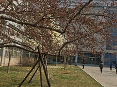 -北京联合大学(北四环校区)