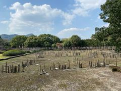 -河姆渡遗址博物馆
