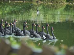 -Sony Store索尼(广州正佳店)