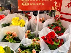 -越秀西湖花市(广州城市广场花卉店)